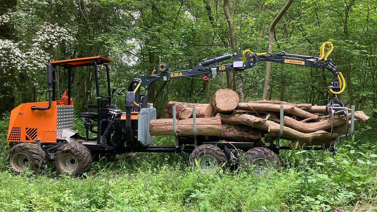Logbullet in a wood image